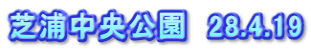 芝浦中央公園　28.4.19
