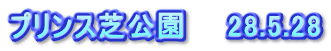 プリンス芝公園　　28.5.28