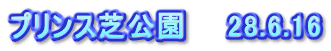 プリンス芝公園　　28.6.16