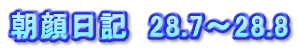 朝顔日記　28.7～28.8