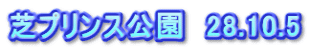 芝プリンス公園　28.10.5