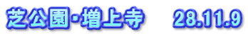芝公園・増上寺　　28.11.9
