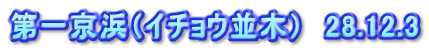第一京浜（イチョウ並木）　28.12.3