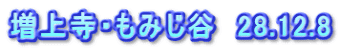 増上寺・もみじ谷　28.12.8