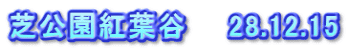 芝公園紅葉谷　　28.12.15