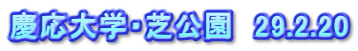 慶応大学・芝公園　29.2.20