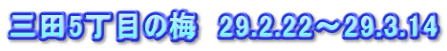 三田5丁目の梅 29.2.22~29.3.14