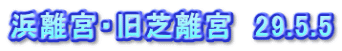 浜離宮・旧芝離宮　29.5.5