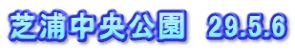 芝浦中央公園　29.5.6