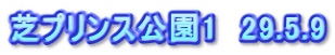 芝プリンス公園1　29.5.9