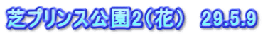 芝プリンス公園2（花）　29.5.9
