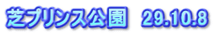芝プリンス公園　29.10.8