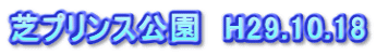 芝プリンス公園　H29.10.18