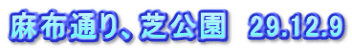 麻布通り、芝公園　29.12.9