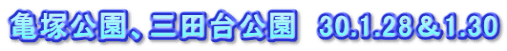 亀塚公園、三田台公園　30.1.28＆1.30