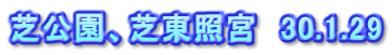 芝公園、芝東照宮　30.1.29