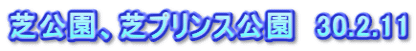 芝公園、芝プリンス公園　30.2.11