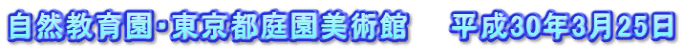 自然教育園・東京都庭園美術館　　平成30年3月25日