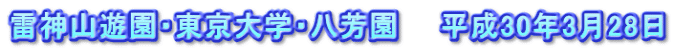 雷神山遊園・東京大学・八芳園　　平成30年3月28日