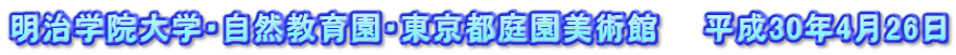 明治学院大学・自然教育園・東京都庭園美術館　　平成30年4月26日