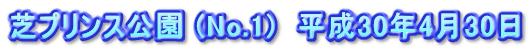 芝プリンス公園 (No.1)  平成30年4月30日