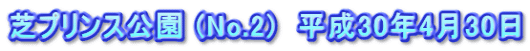 芝プリンス公園 (No.2)  平成30年4月30日