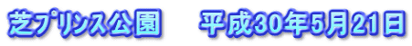 芝ﾌﾟﾘﾝｽ公園　　平成30年5月21日