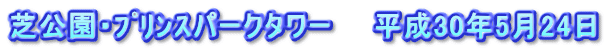 芝公園・ﾌﾟﾘﾝｽパークタワー　　平成30年5月24日