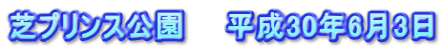 芝プリンス公園　　平成30年6月3日