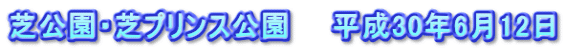 芝公園・芝プリンス公園　　平成30年6月12日