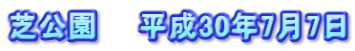 芝公園　　平成30年7月7日