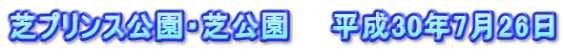 芝プリンス公園・芝公園　　平成30年7月26日