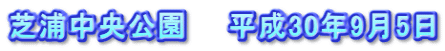 芝浦中央公園　　平成30年9月5日