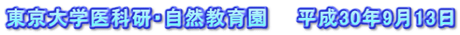 東京大学医科研・自然教育園　　平成30年9月13日