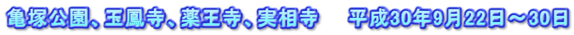 亀塚公園、玉鳳寺、薬王寺、実相寺　　平成30年9月22日～30日