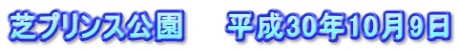 芝プリンス公園　　平成30年10月9日
