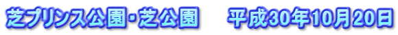 芝プリンス公園・芝公園　　平成30年10月20日