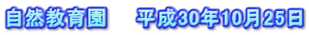 自然教育園　　平成30年10月25日