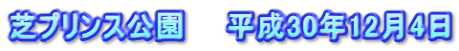 芝プリンス公園　　平成30年12月4日