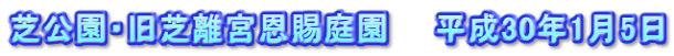 芝公園・旧芝離宮恩賜庭園　　平成30年1月5日