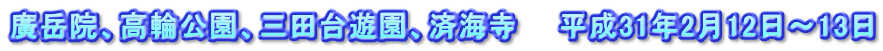 廣岳院、高輪公園、三田台遊園、済海寺　　平成31年2月12日～13日