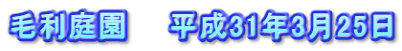 毛利庭園　　平成31年3月25日