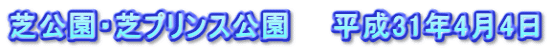 芝公園・芝プリンス公園　　平成31年4月4日