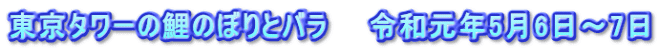 東京タワーの鯉のぼりとバラ　　令和元年5月6日～7日