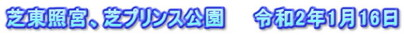 芝東照宮、芝プリンス公園　　令和2年1月16日