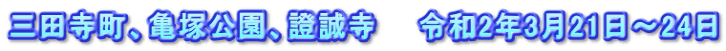 三田寺町、亀塚公園、證誠寺 令和2年3月21日~24日