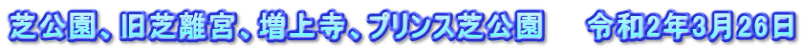 芝公園、旧芝離宮、増上寺、プリンス芝公園　　令和2年3月26日