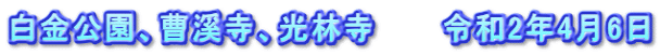 白金公園、曹溪寺、光林寺　　　令和2年4月6日