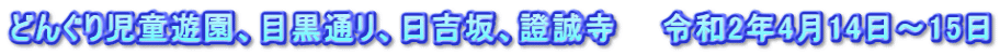 どんぐり児童遊園、目黒通リ、日吉坂、證誠寺　　令和2年4月14日～15日
