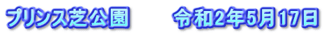 プリンス芝公園　　　令和2年5月17日